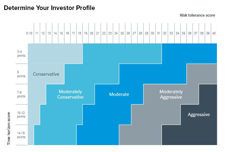 Investor profile chart with risk tolerance levels.